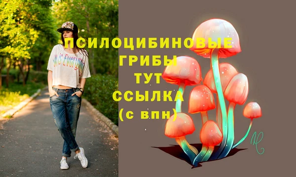 стафф Новодвинск