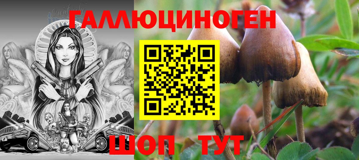 Псилоцибиновые грибы Psilocybine cubensis  Вход с VPN  Аша 